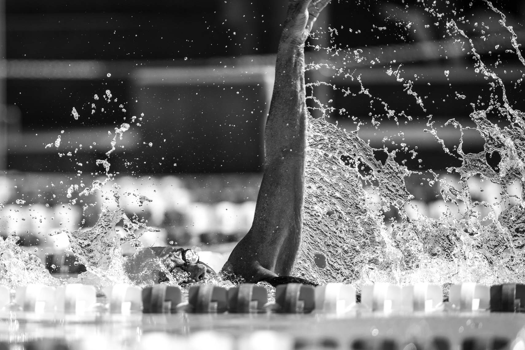 US Masters Swimming Summer National Championships  by Mike Lewis