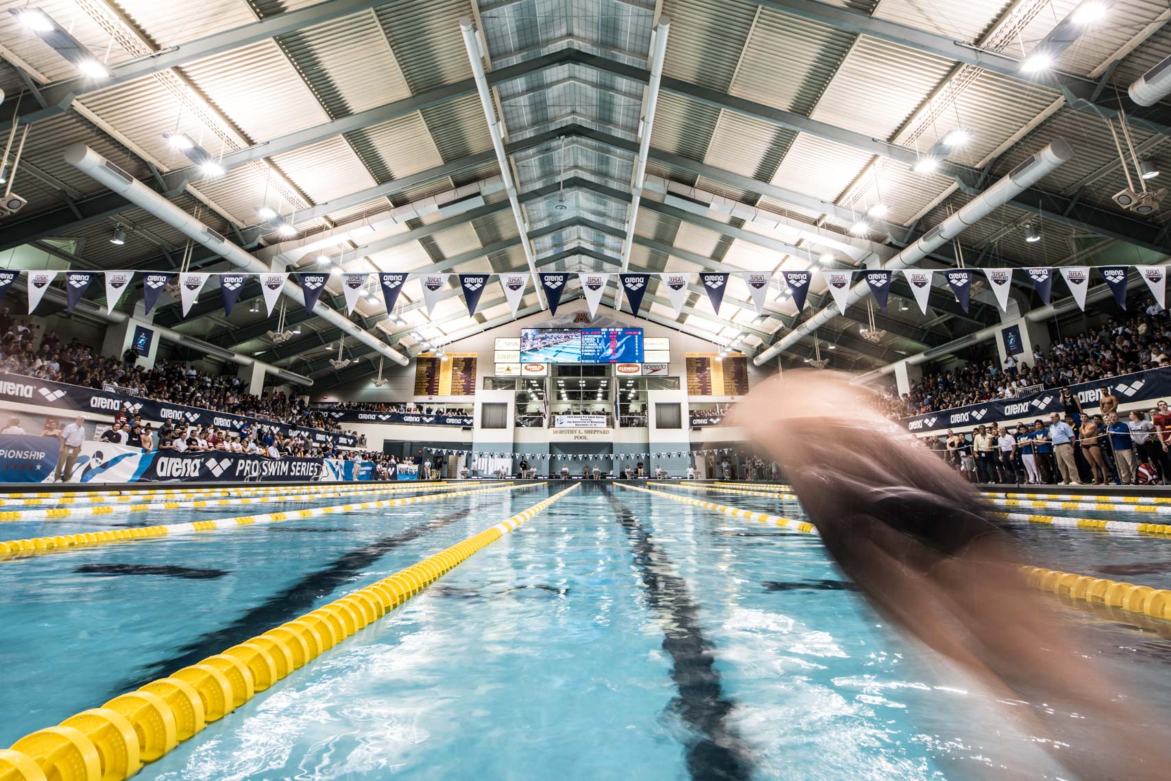 backstroke blur start stock by Mike Lewis