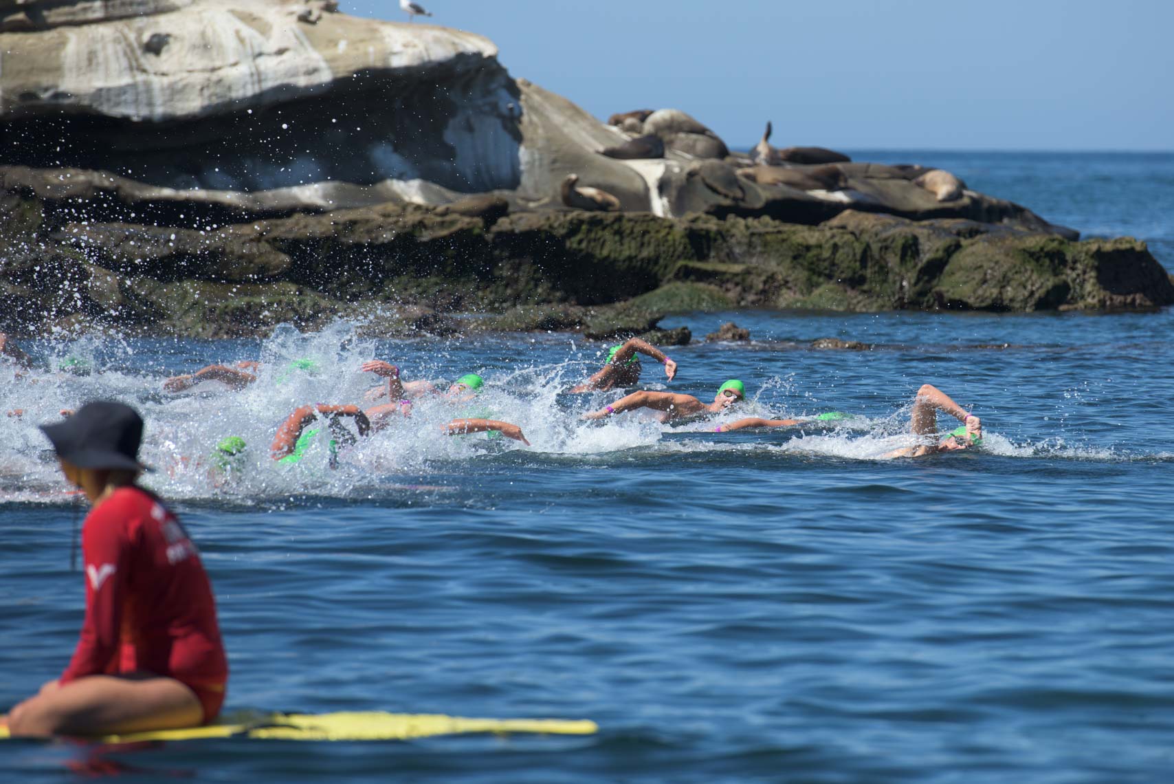 La Jolla Rough Water Swim