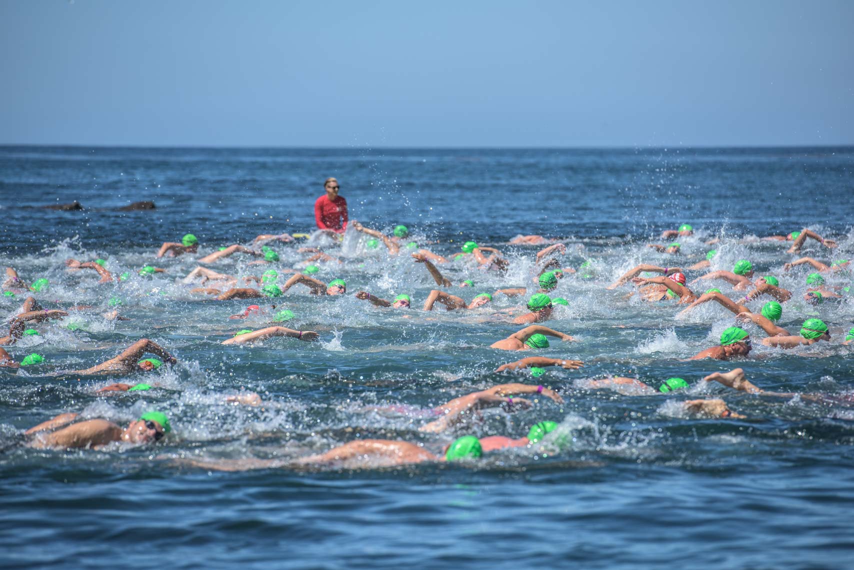 open water swimming 