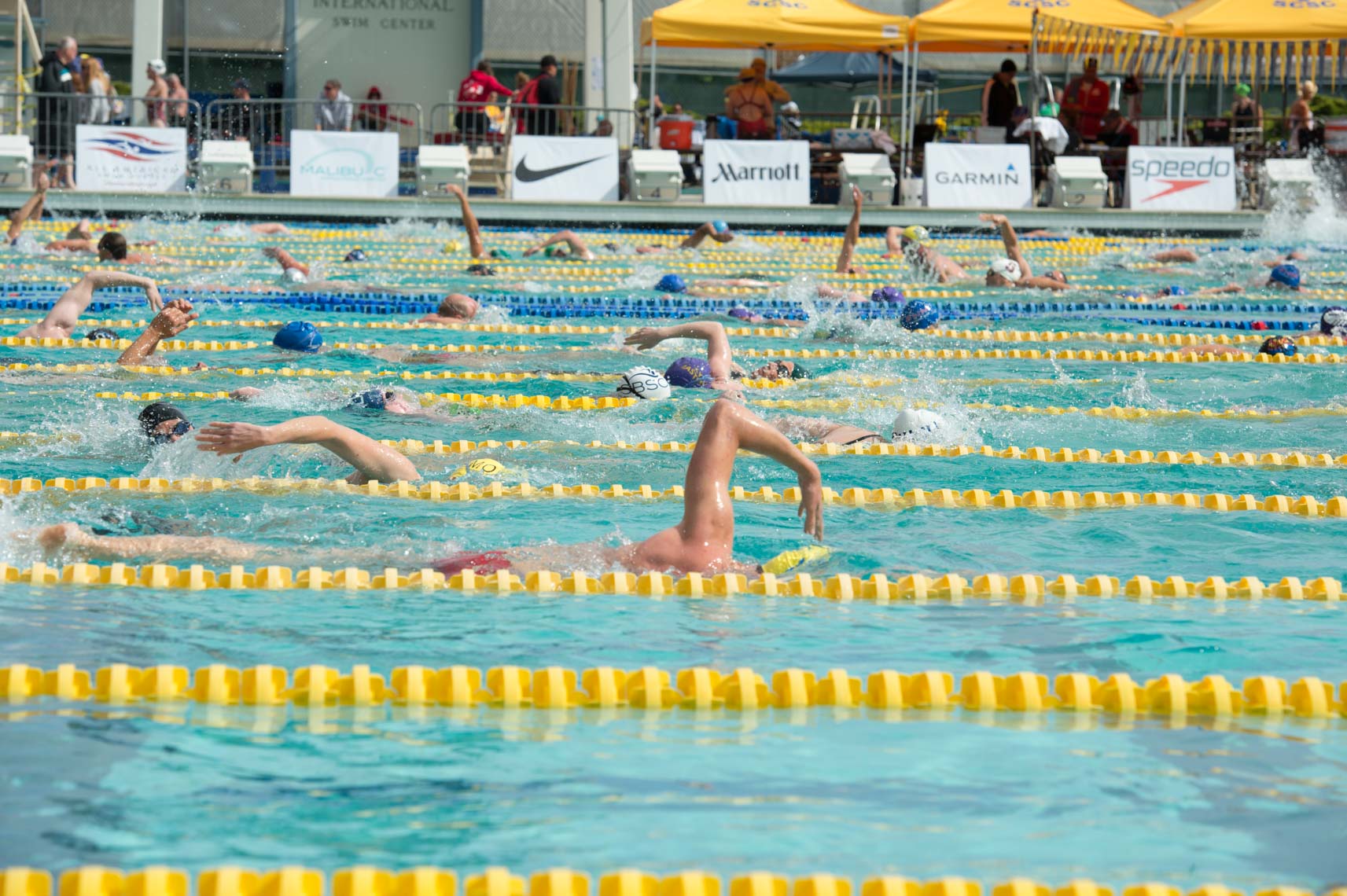 swim meet warm up