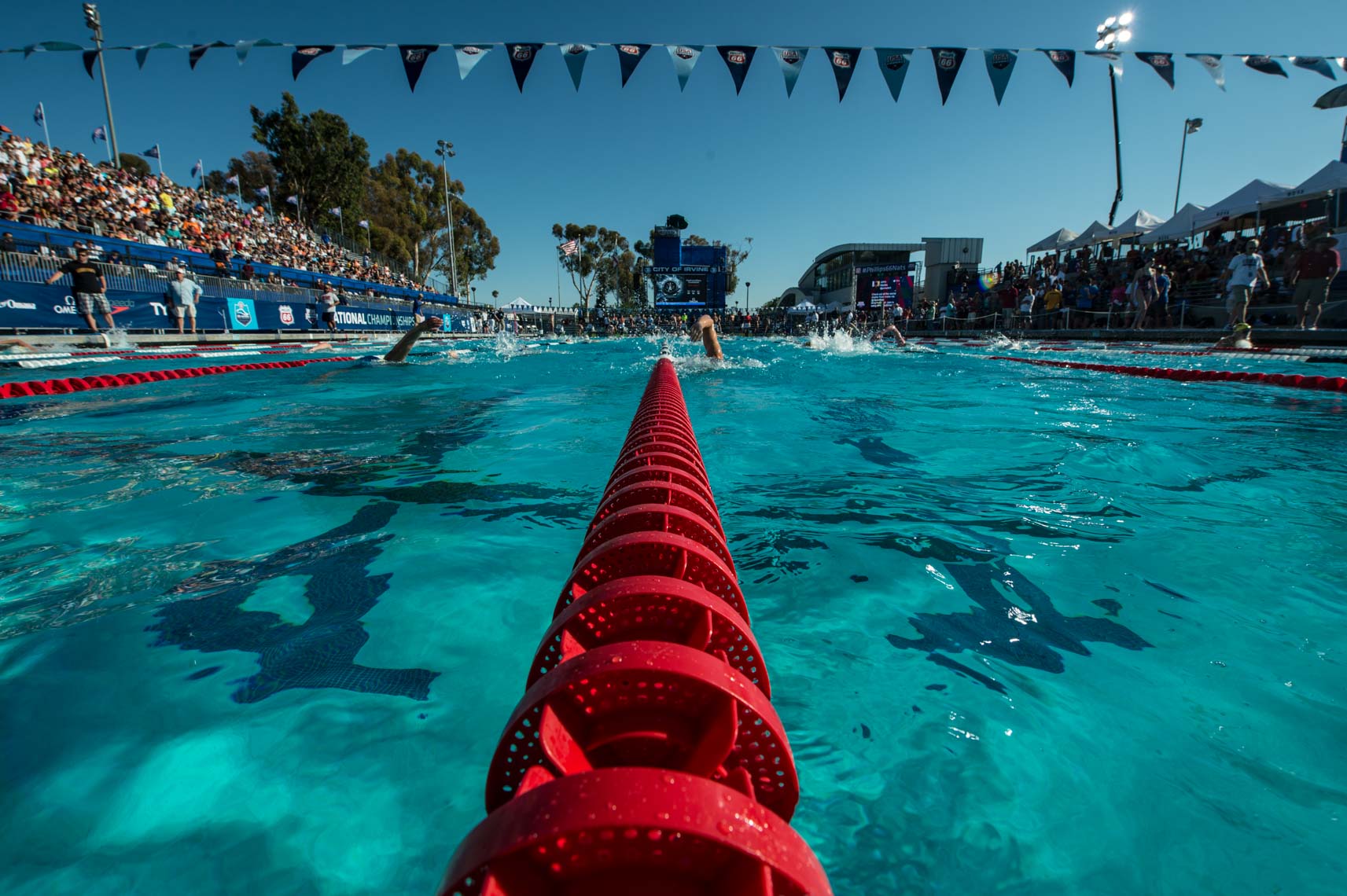 Swimming Pool Lane Line Mike Lewis Swimming Editorial Commercial 