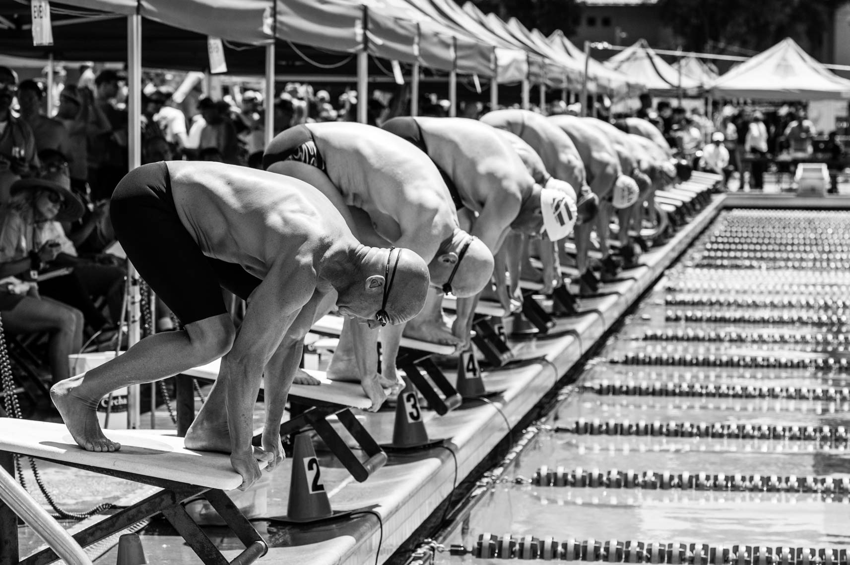 competitive masters swimming start