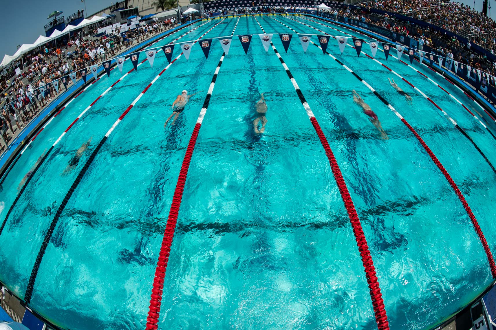 backstroke swimming | Mike Lewis, Swimming | Editorial | Commercial ...