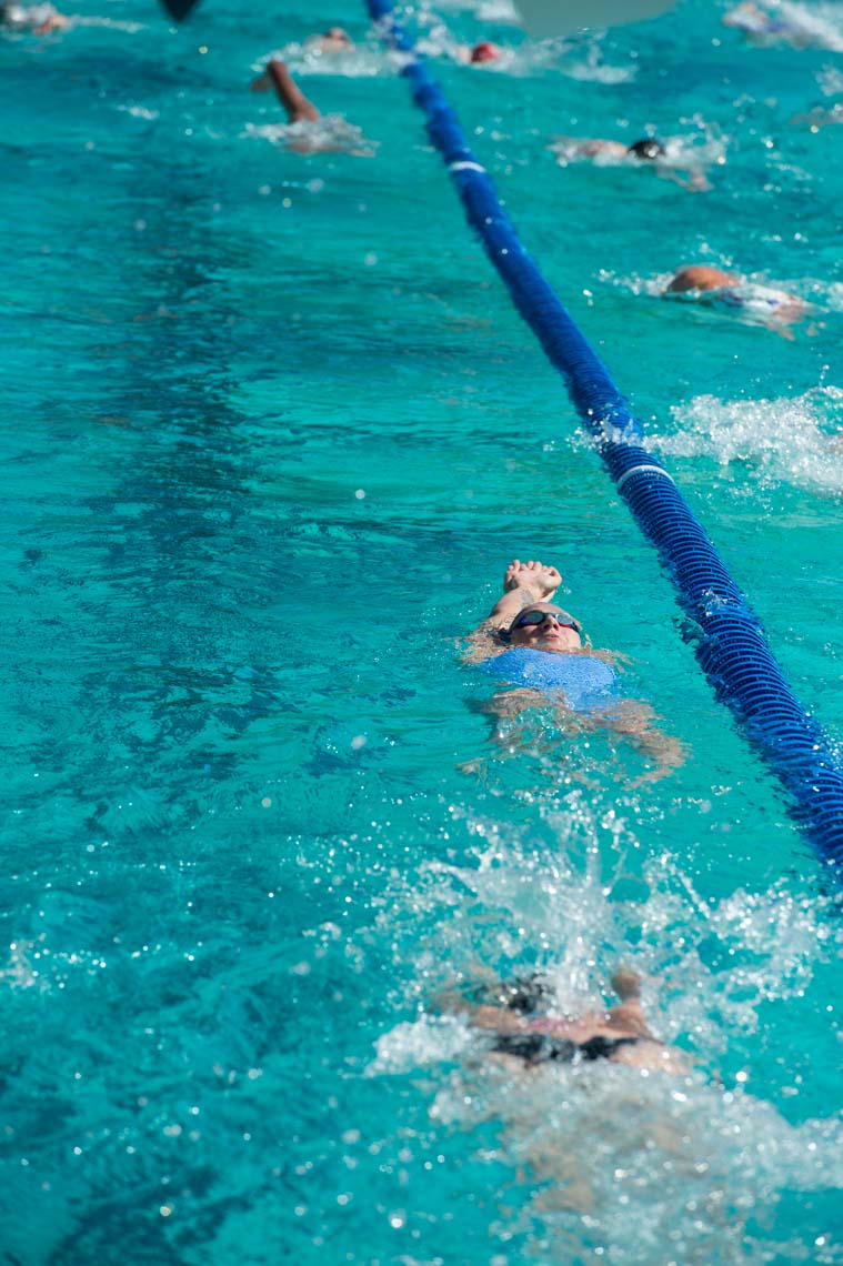 swimming stock