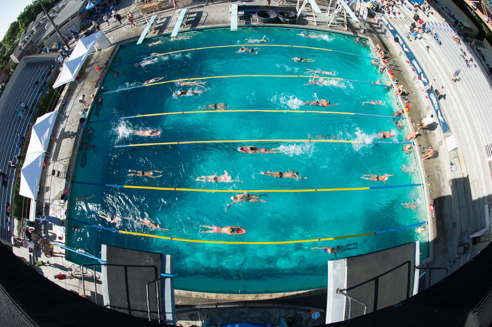 Arena Pro Swim Santa Clara Stock by Mike Lewis