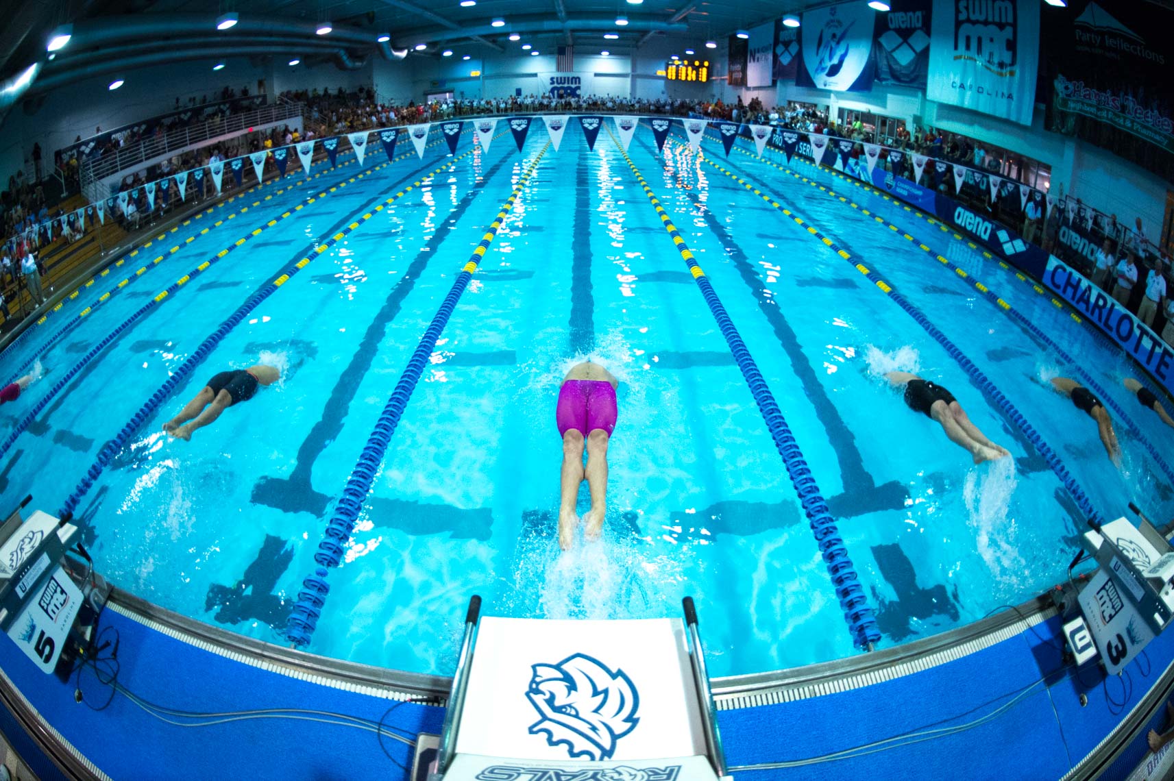 competitive swimming start