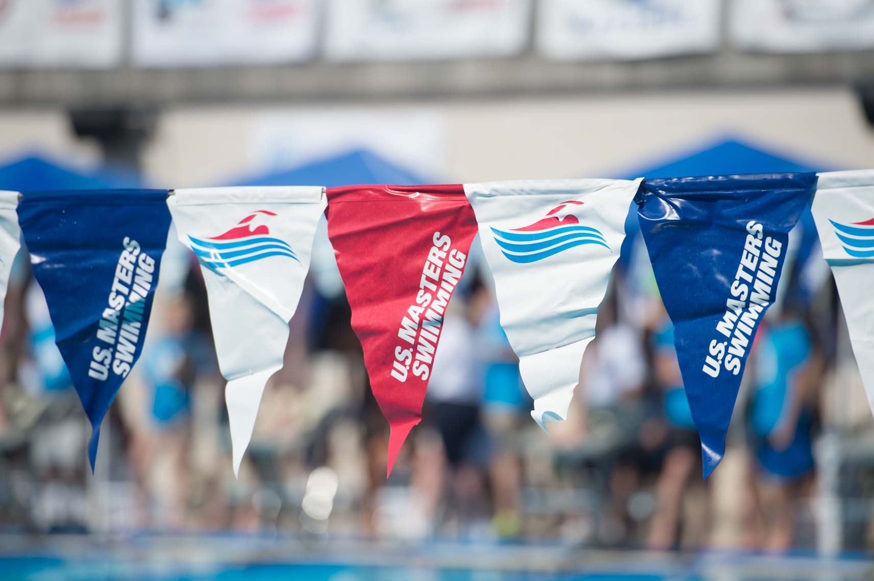 swimming stock image