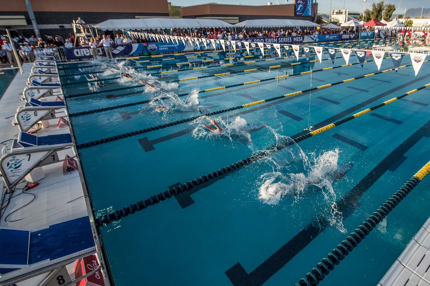swimming start stock image